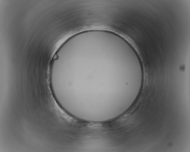 X0000114641006200911101254