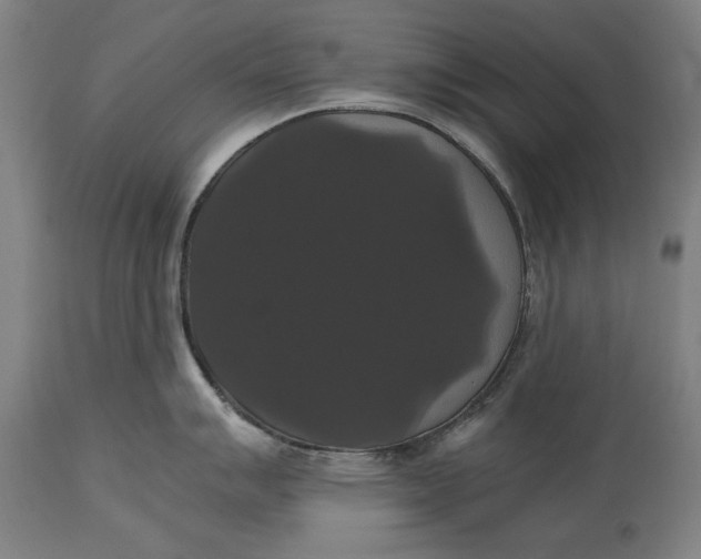 X0000114641007200911101254