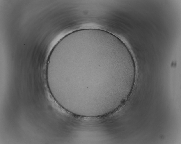 X0000114641008200911101254