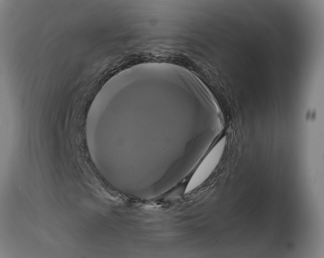 X0000114641009200911101253