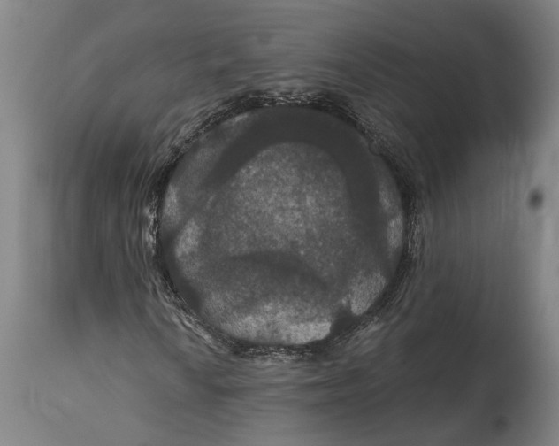 X0000114641010200911101253