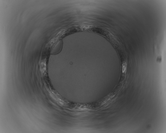 X0000114641011200911101253