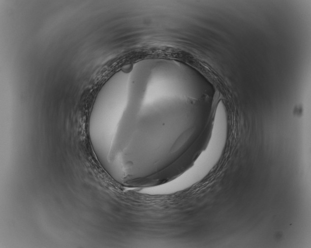 X0000114641013200911101253