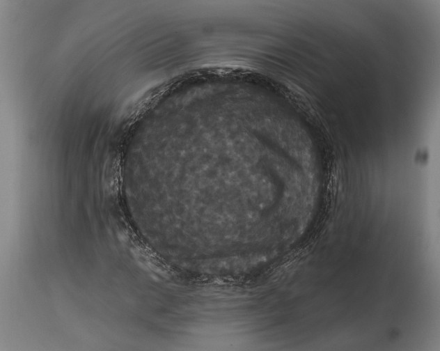 X0000114641014200911101253