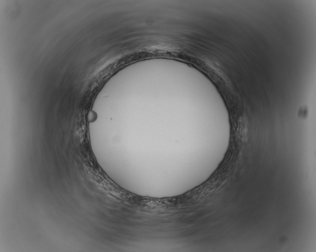 X0000114641015200911101253