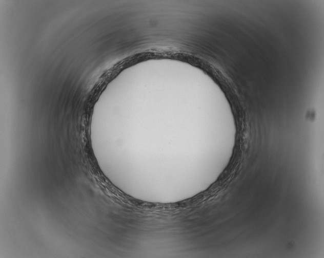 X0000114641016200911101253