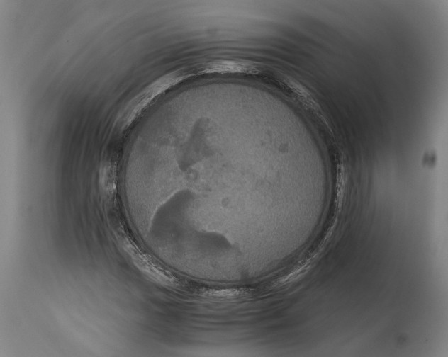 X0000114641017200911101253