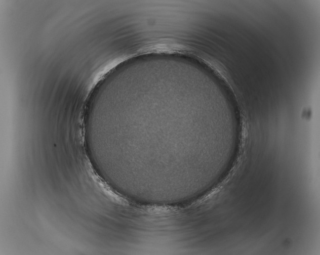 X0000114641018200911101253