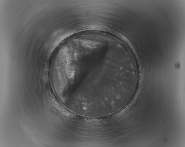 X0000114641019200911101253