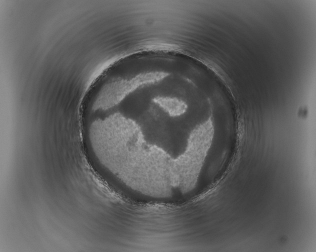X0000114641022200911101253