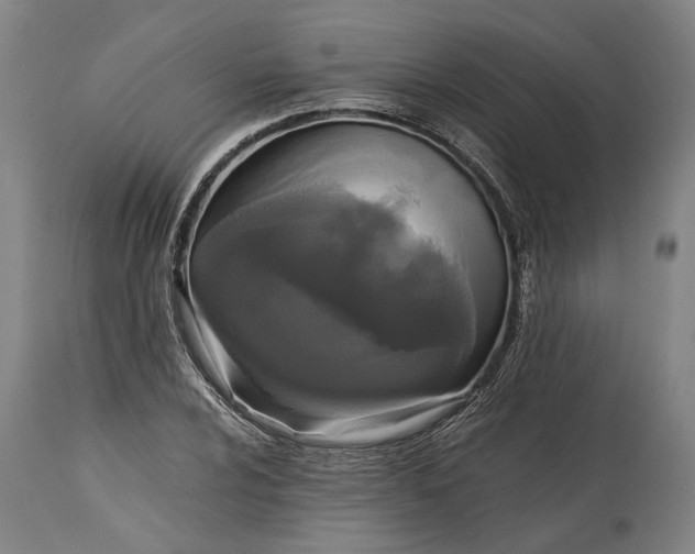 X0000114641024200911101253