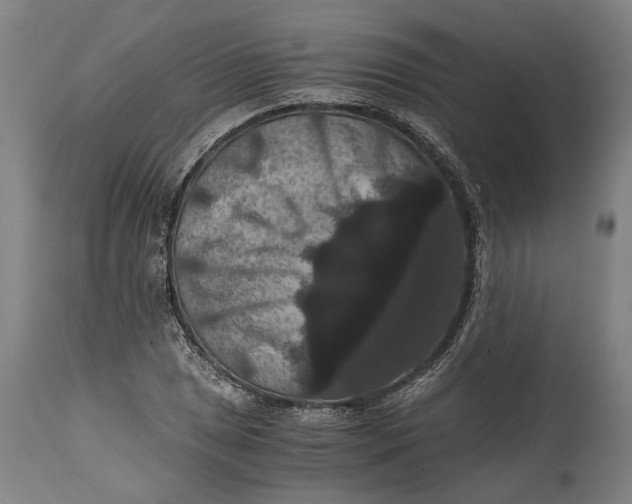 X0000114641025200911101253