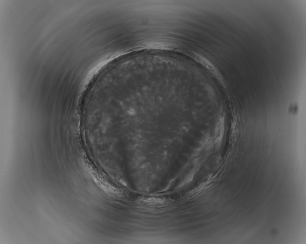 X0000114641027200911101253