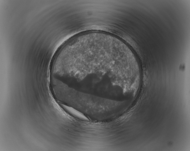 X0000114641028200911101253