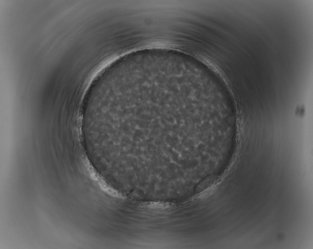 X0000114641029200911101253