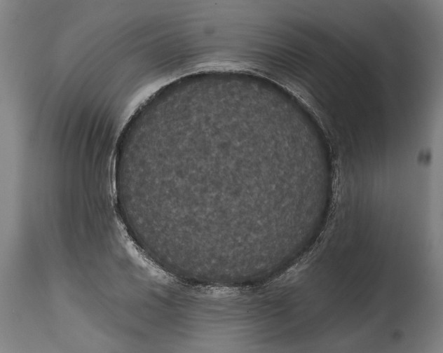 X0000114641030200911101253