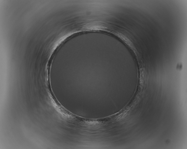 X0000114641031200911101253