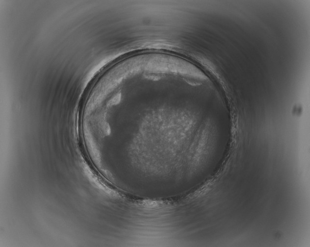 X0000114641032200911101253