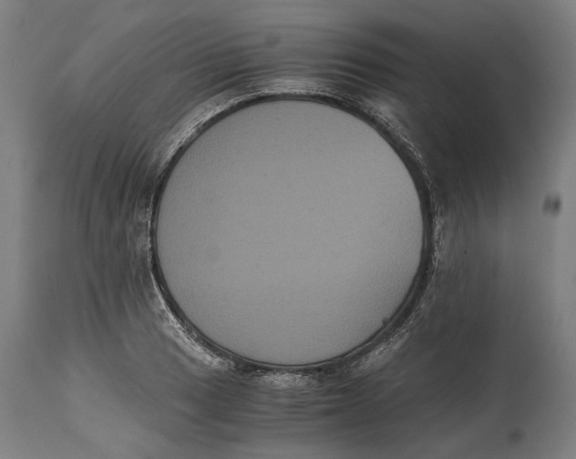 X0000114641033200911101253