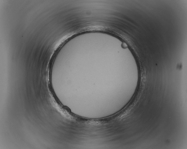 X0000114641034200911101253