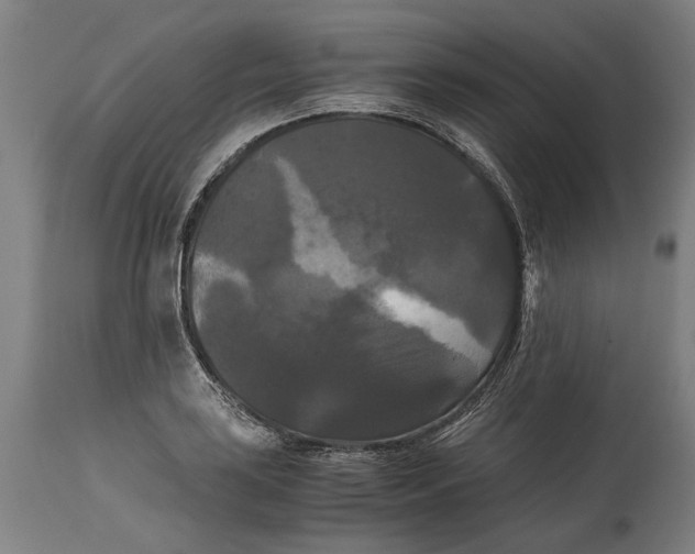 X0000114641035200911101254