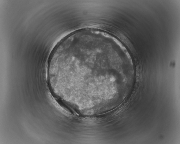X0000114641036200911101254