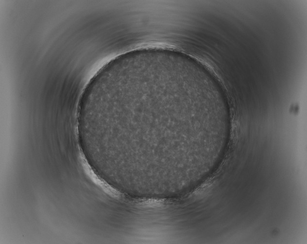 X0000114641038200911101254