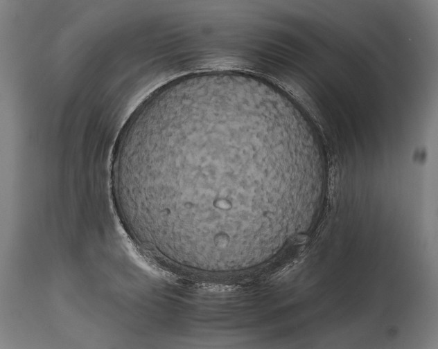X0000114641039200911101254