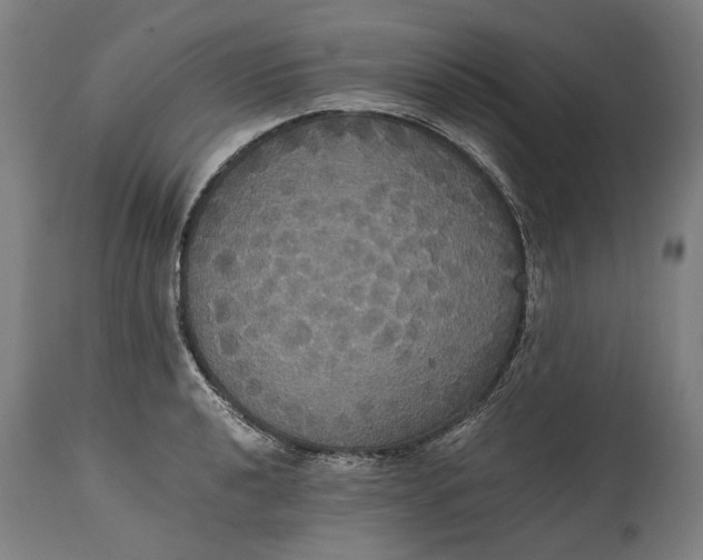 X0000114641040200911101254