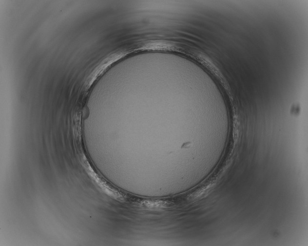 X0000114641041200911101254