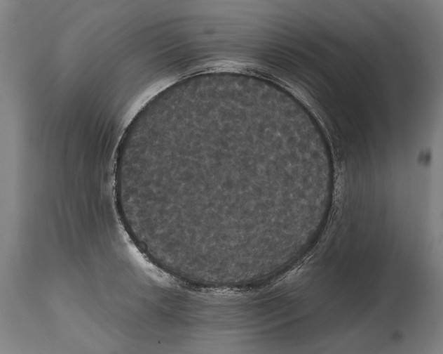 X0000114641042200911101254