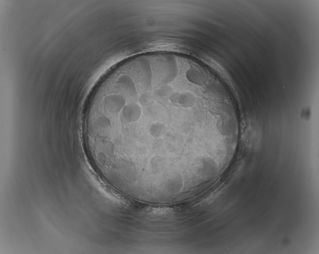 X0000114641043200911101254