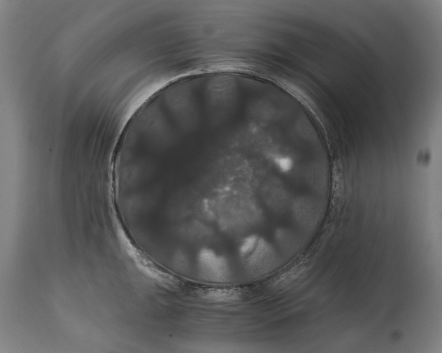 X0000114641047200911101254
