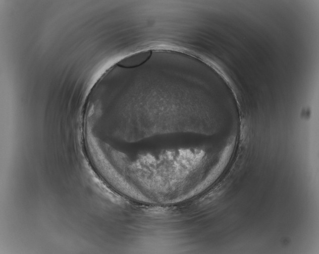 X0000114641048200911101254