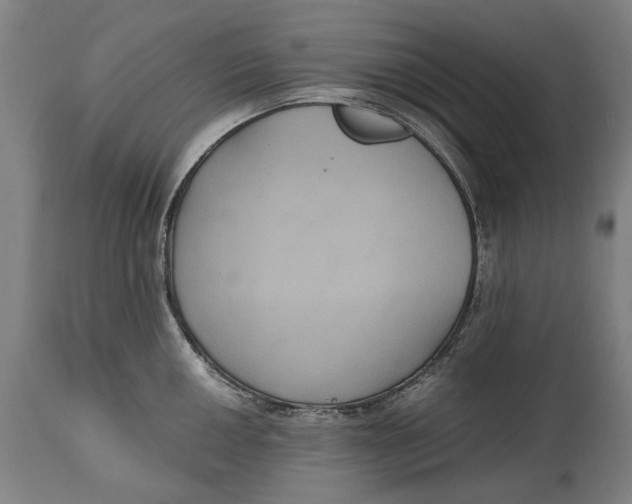 X0000114641050200911101254