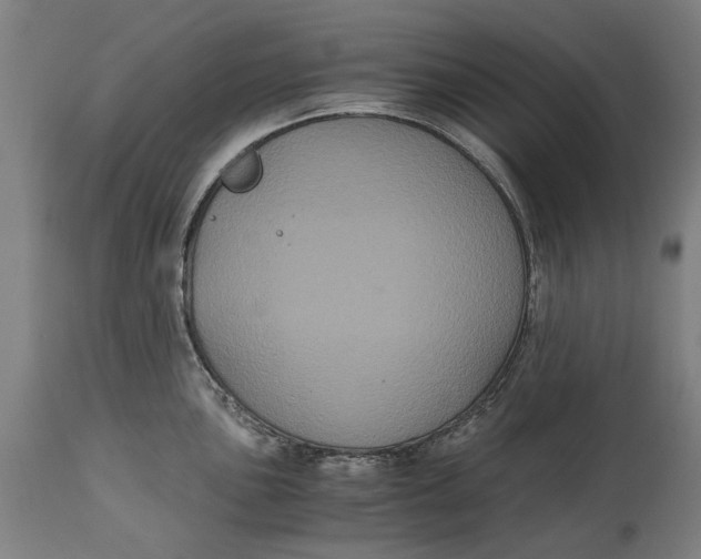 X0000114641051200911101254