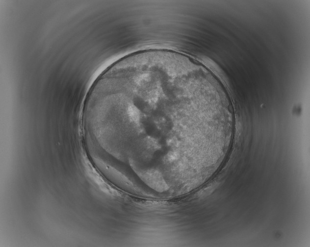 X0000114641052200911101254