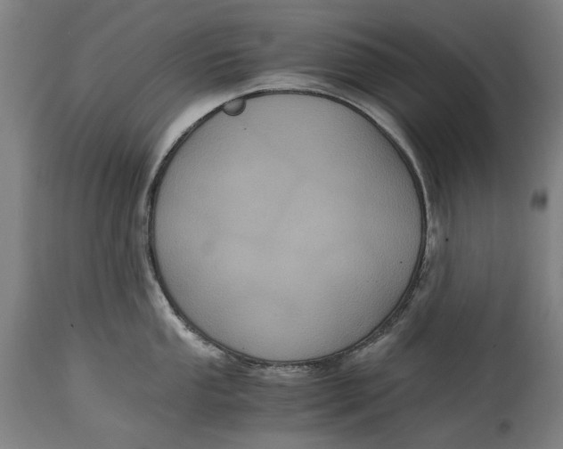 X0000114641053200911101254