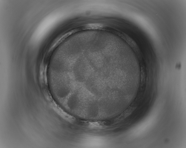 X0000114641054200911101254