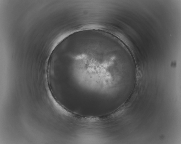 X0000114641055200911101254