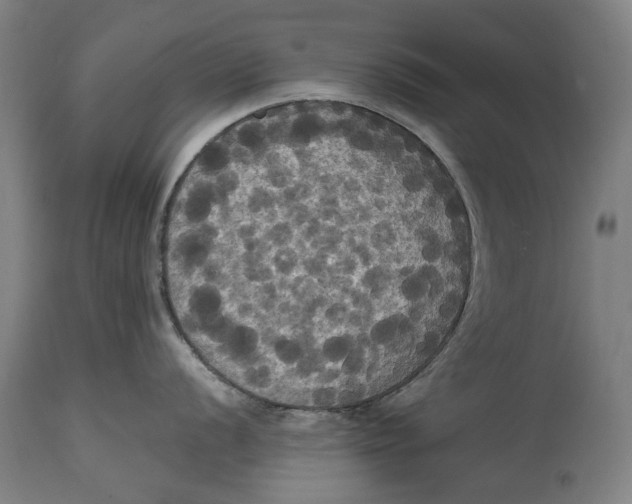 X0000114641056200911101254