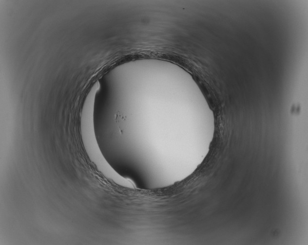 X0000114641057200911101253