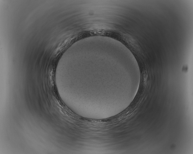X0000114641060200911101253