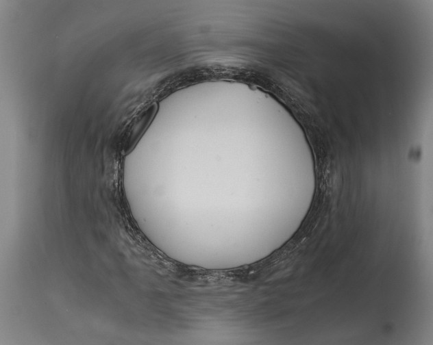 X0000114641061200911101253