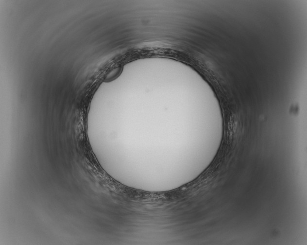 X0000114641062200911101253