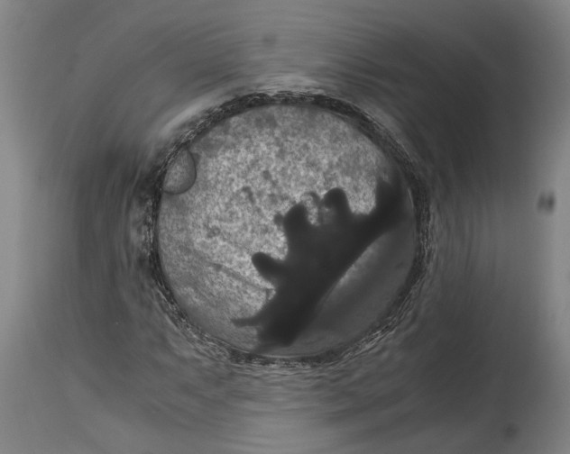 X0000114641063200911101253