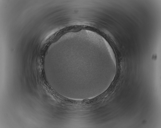 X0000114641064200911101253