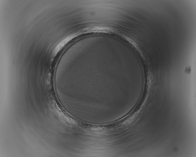 X0000114641066200911101253