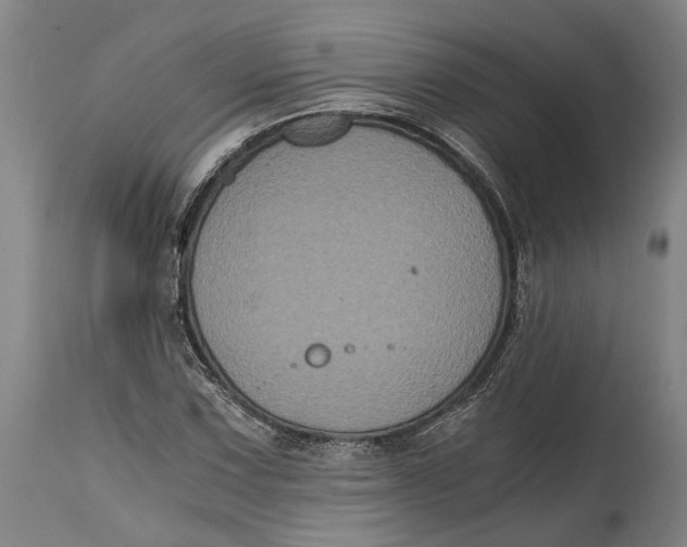 X0000114641067200911101253