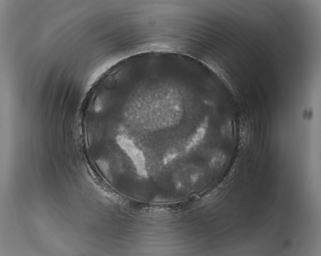 X0000114641070200911101253